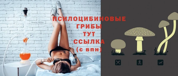 таблы Медвежьегорск