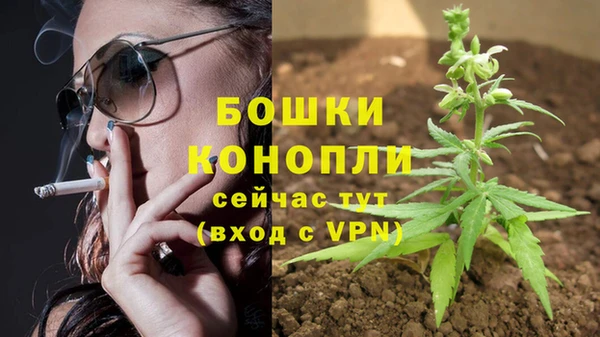 ALPHA PVP Медногорск