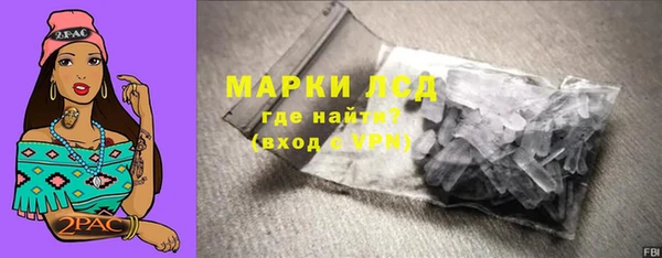 PSILOCYBIN Осинники