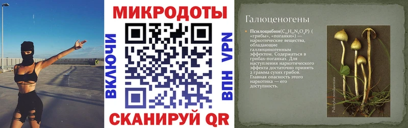 Псилоцибиновые грибы мицелий  mega ссылки  Сольцы  сколько стоит 
